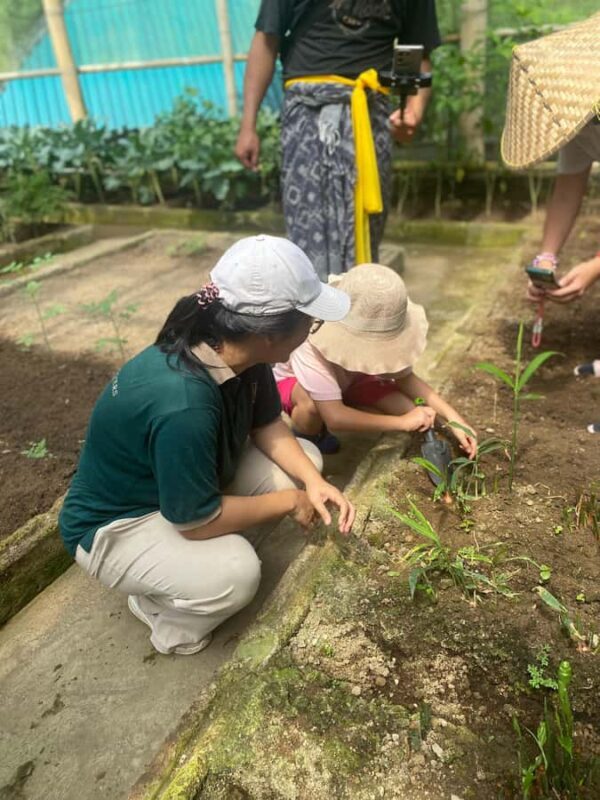 Ubud: Balinese Culture and Farming Experience with Lunch - Good To Know