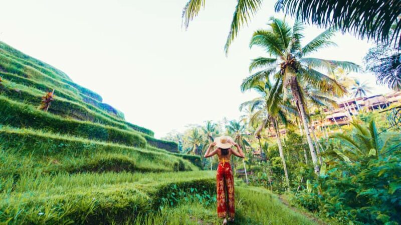Ubud: Balinese Culture and Nature Private Full-day Tour - Ubud: Balinese Culture and Nature Private Full-day Tour