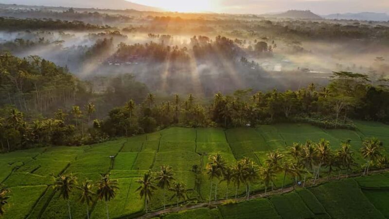 Ubud : Balinese House, Hidden Rice Field, & Coffee Break - FAQ