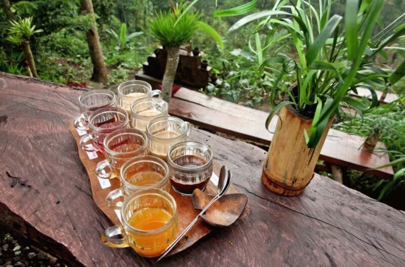 Ubud : Balinese House, Hidden Rice Field, & Coffee Break - The Sum Up