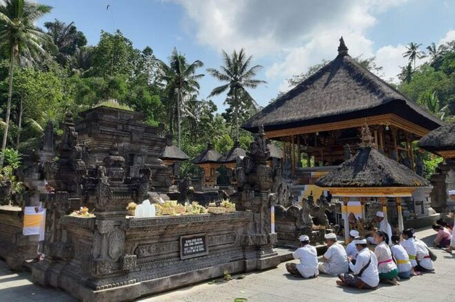 Ubud: Balinese Ritual Purification and Ubud Tour - Inclusions and Exclusions
