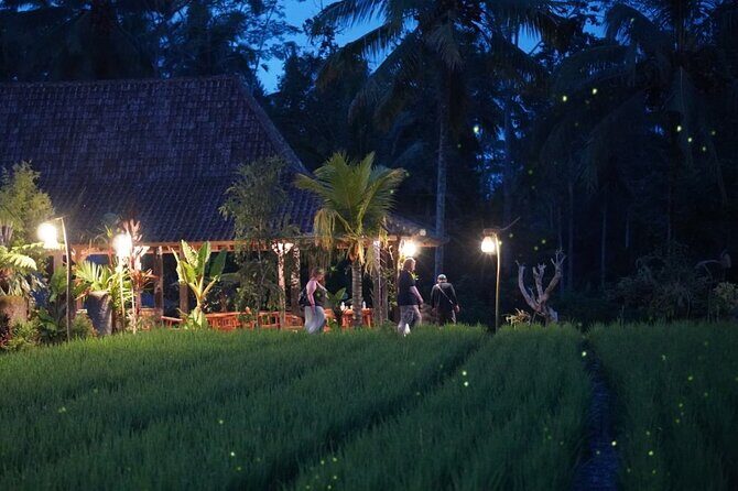 Ubud: Balinese Village Life, Organic Farm Dinner and Firefly Tour - Good To Know