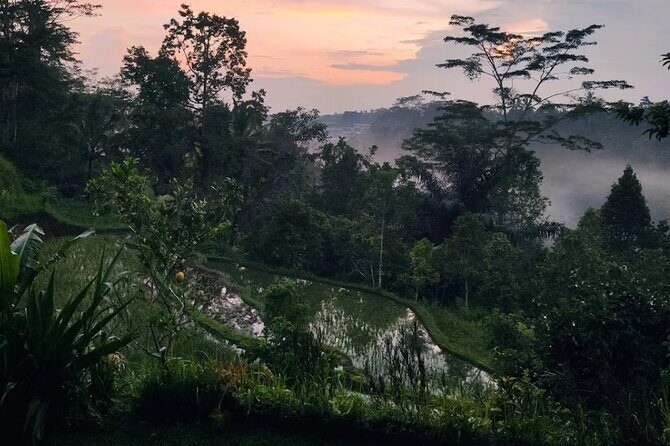 Ubud: Balinese Village Life, Organic Farm Dinner and Firefly Tour - Who Will Enjoy This Tour?