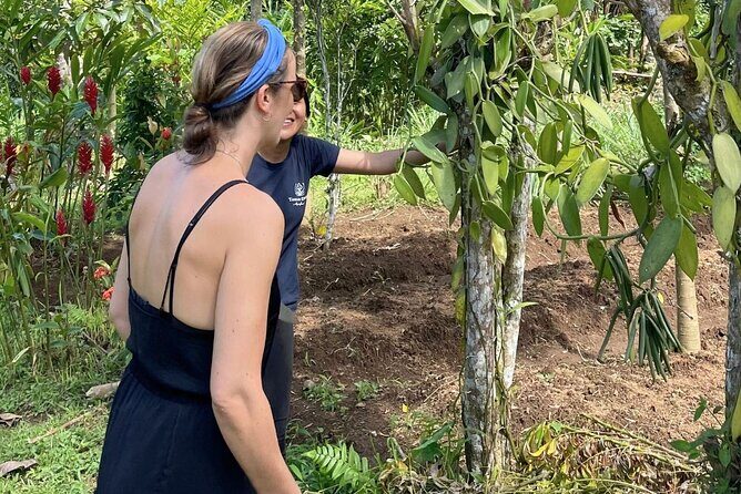 Ubud: Balinese Village Life, Organic Farm Dinner and Firefly Tour - Final Thoughts