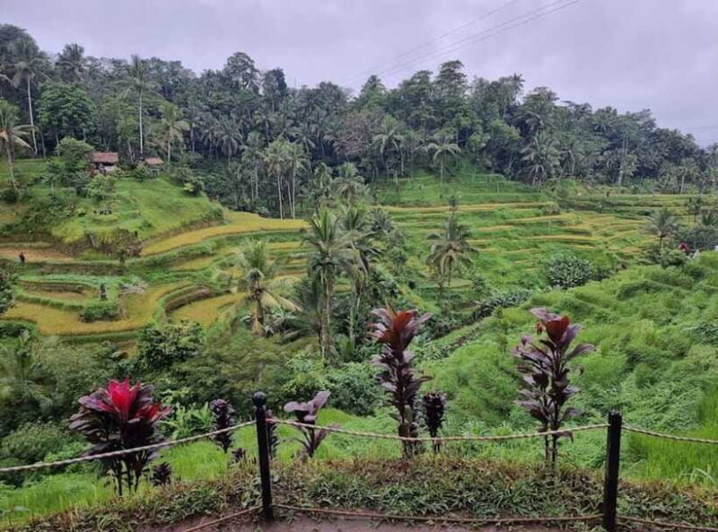 Ubud : Barong Dance, Temple, Rice Terrace & Waterfall - Frequently Asked Questions