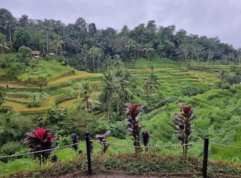 Ubud : Barong Dance, Temple, Rice Terrace & Waterfall - Practical Considerations and Value  