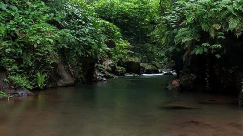 Ubud: Bayad Village, Waterfall and Cave Trek Adventure - Ubud: Bayad Village, Waterfall and Cave Trek Adventure – A Complete Guide