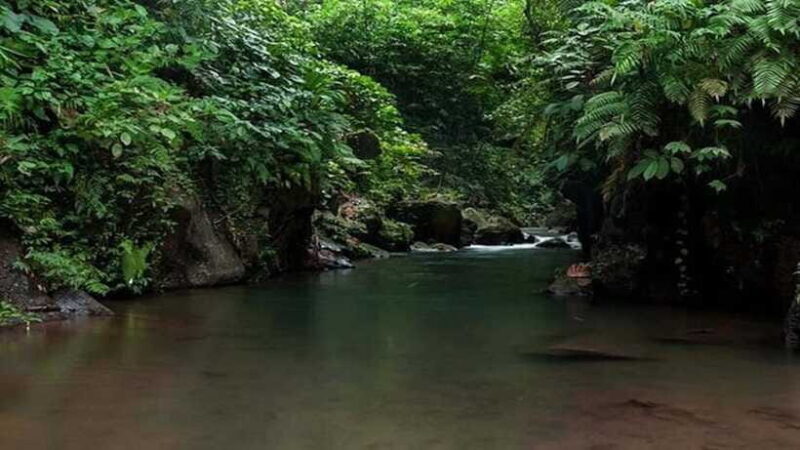 Ubud: Bayad Village, Waterfall and Cave Trek Adventure - Why This Tour Is Worth It