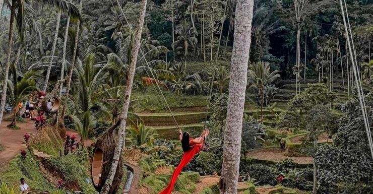 Ubud Best Attractions: Rice Terrace, Waterfall, Swing Tour - Good To Know