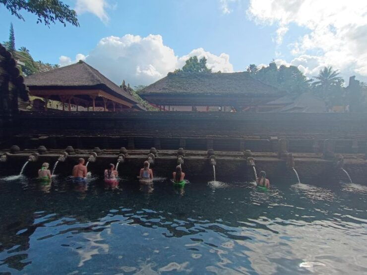 Ubud Best Attractions: Rice Terrace, Waterfall, Swing Tour - Tegallalang Rice Terraces
