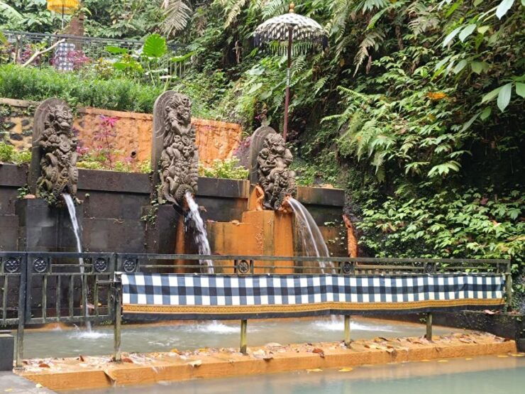 Ubud Best Attractions: Rice Terrace, Waterfall, Swing Tour - Ubud Sacred Monkey Forest