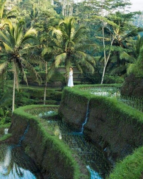 Ubud : Best Day Ubud Trip Must Visited - Booking and Cancellation Policy