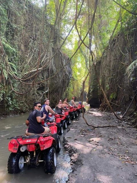 Ubud: Best of ATV Quad Bike Adventure - Booking Details