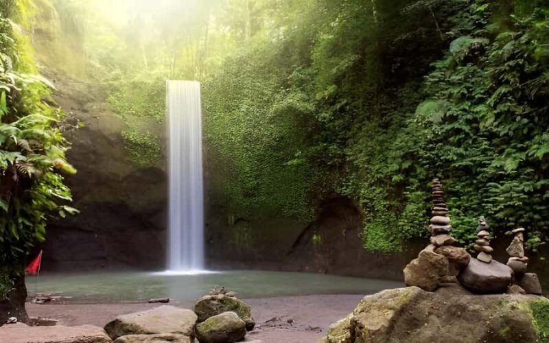 Ubud - Best Waterfall Tour & Bali Swing - An In-Depth Look at the Waterfalls and Attractions