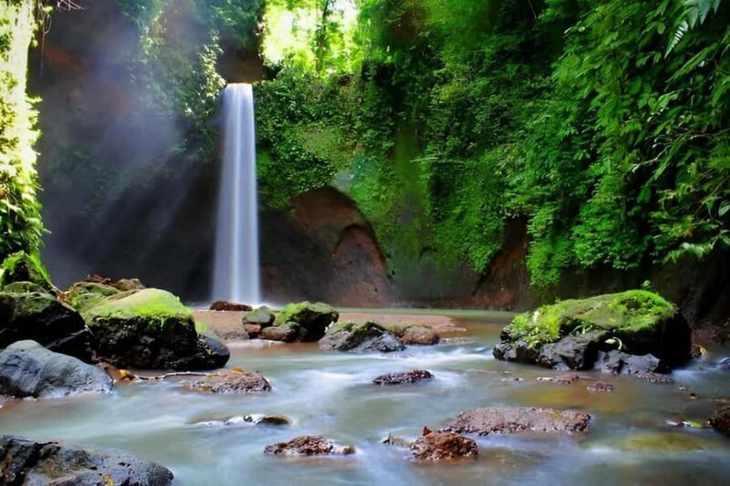 Ubud - Best Waterfall Tour & Bali Swing - Logistics and Practicalities