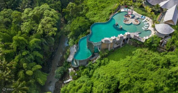 Ubud Bliss Tour - Rice Terrace, Monkey Forest, Infinity Pool - Key Points