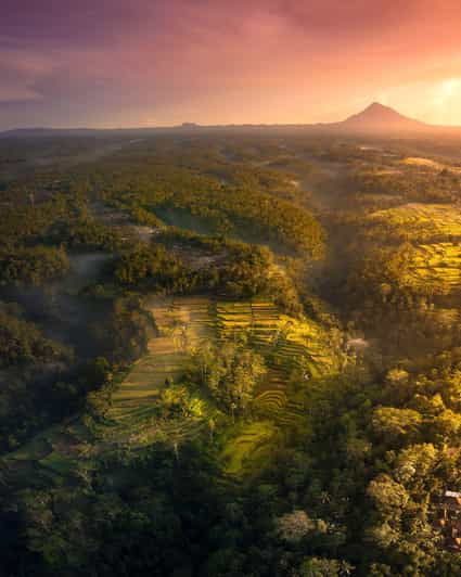 Ubud Bliss Tour - Rice Terrace, Monkey Forest, Infinity Pool - Explore Ubud Market