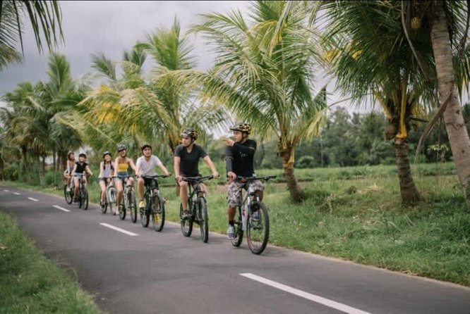Ubud Bliss: Village Cycling and Jungle Swing Adventure - Pricing and Booking Information