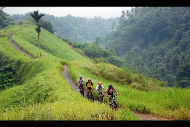 Ubud Bliss: Village Cycling and Jungle Swing Adventure - Experience Details and Restrictions