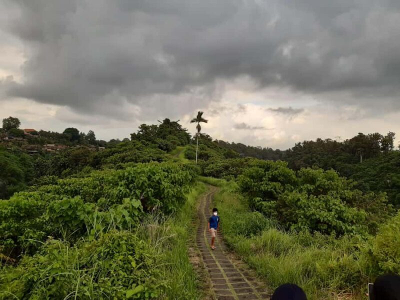 Ubud: Campuhan Ridge Walk, Tegallalang Rice Terrace & More - Who Would Love This Tour?