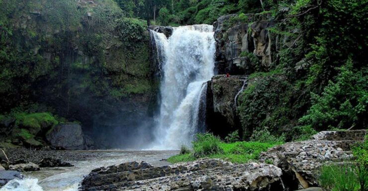 Ubud & Canggu: Rice Terrace, Waterfall & Black Sand Beach - Good To Know