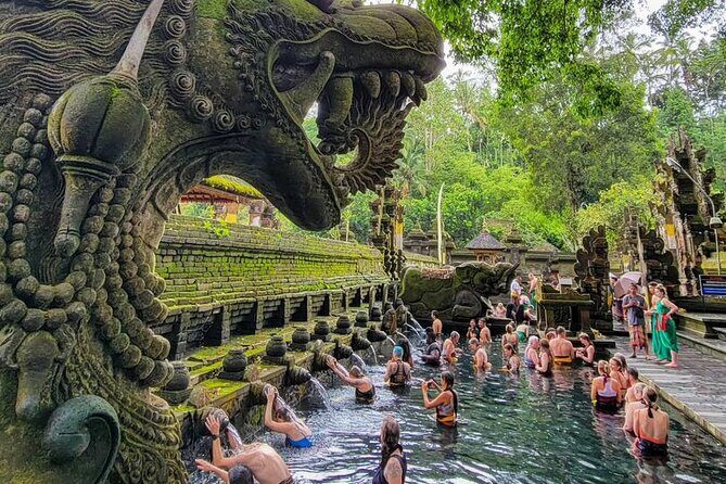 Ubud Car Hire With Driver : Customize Your Trip in Ubud Area - Why Choose a Private Car Hire in Ubud?