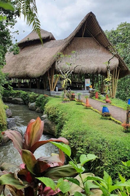 Ubud: Cave Tubing Adventure With Lunch and Transfers - Itinerary Highlights