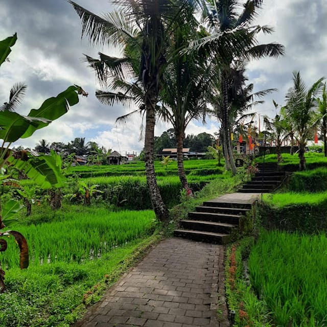Ubud: Cave Tubing Adventure With Lunch and Transfers - Safety Guidelines