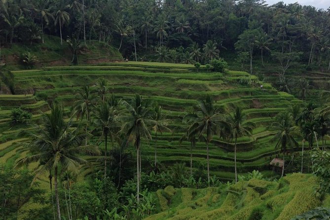 Ubud Classic Private Full-Day Trip From Kuta - Inclusions