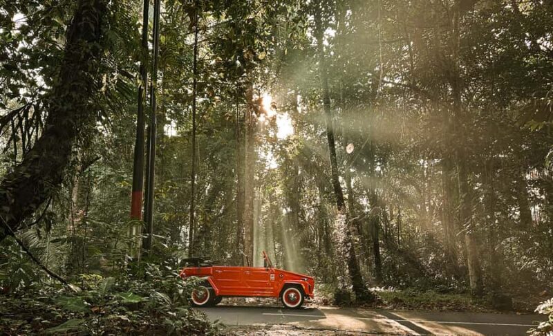 Ubud: Classic Vintage Volkswagen Custom Tour - Guides and Personal Touch