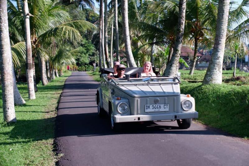 Ubud: Classic VW Safari to Waterfall, Swing & Rice Terraces - Good To Know