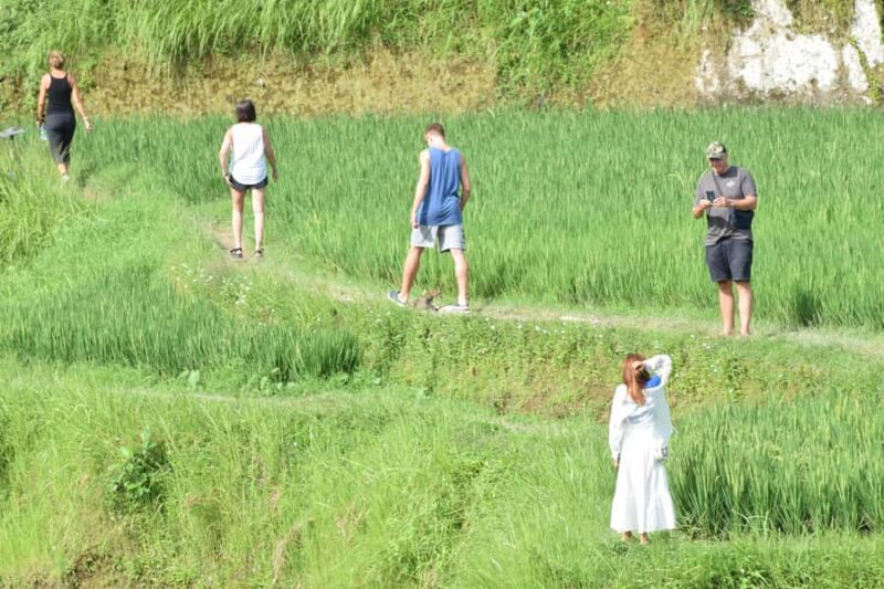 Ubud: Classic VW Safari to Waterfall, Swing & Rice Terraces - Final Thoughts