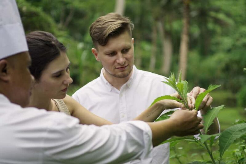 Ubud: Cooking Class & Herb Garden Tour with Local Chef - A Closer Look at the Experience