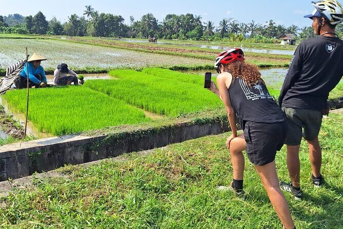 Ubud Countryside Cycling Tour with Village Lunch - Exploring the Ubud Countryside by Bike
