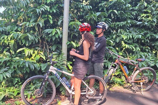 Ubud Countryside Cycling Tour with Village Lunch - What to Expect from the Ubud Countryside Cycling Tour