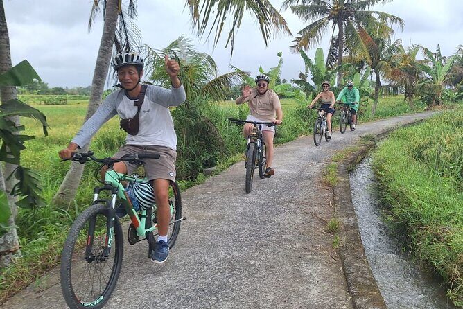 Ubud Countryside Cycling Tour with Village Lunch - The Sum Up