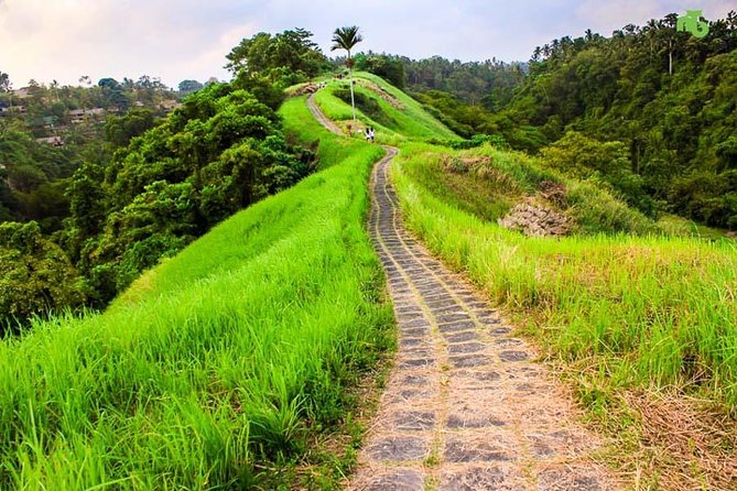 Ubud Countryside Tour: Campuhan Ridge Walk and Rice Terrace - Tour Pricing and Booking Information