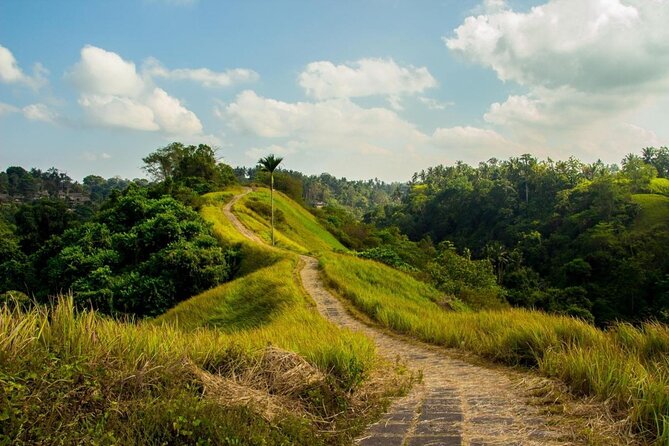 Ubud Countryside Tour: Campuhan Ridge Walk and Rice Terrace - Tour Details and Highlights