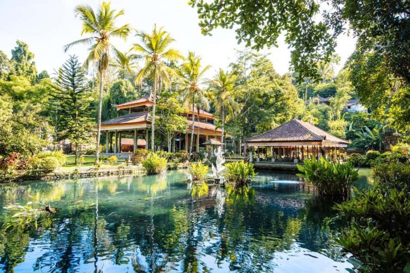 Ubud: Cretya Infinity Pool, Hidden Waterfall & Water Temple - Practical Details and Tips
