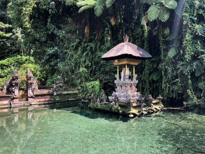 Ubud: Cretya Infinity Pool, Hidden Waterfall & Water Temple - Practical Tips for Making the Most of Your Day