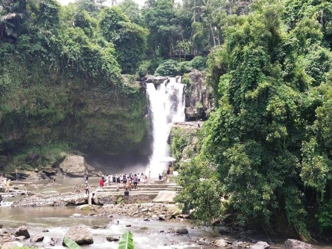Ubud Culture and Heritage Tour - Recommended Local Cuisine
