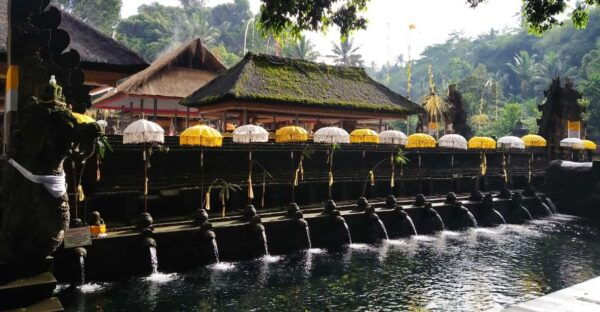 Ubud Culture and Heritage Tour - Tips for an Enjoyable Experience