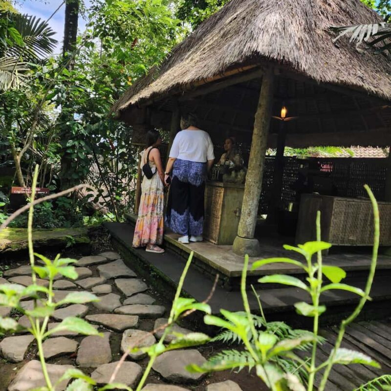 Ubud: Culture and sightseeing tour with Friendly local Guide - Exploring Ubud: A Day of Culture, Nature, and Craftsmanship
