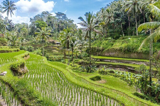 Ubud Culture Full Day Tour - Good To Know
