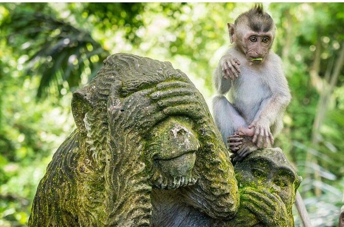 Ubud Culture Full Day Tour - Who Will Love This Tour?