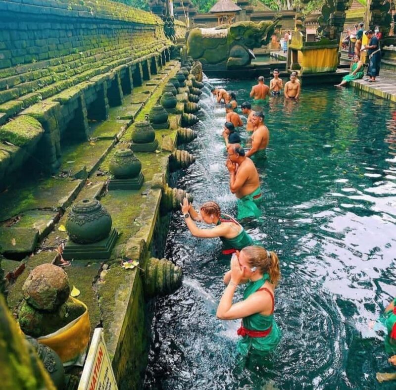 Ubud: Customised private day trip with personal driver - Why Choose a Private Ubud Day Trip?