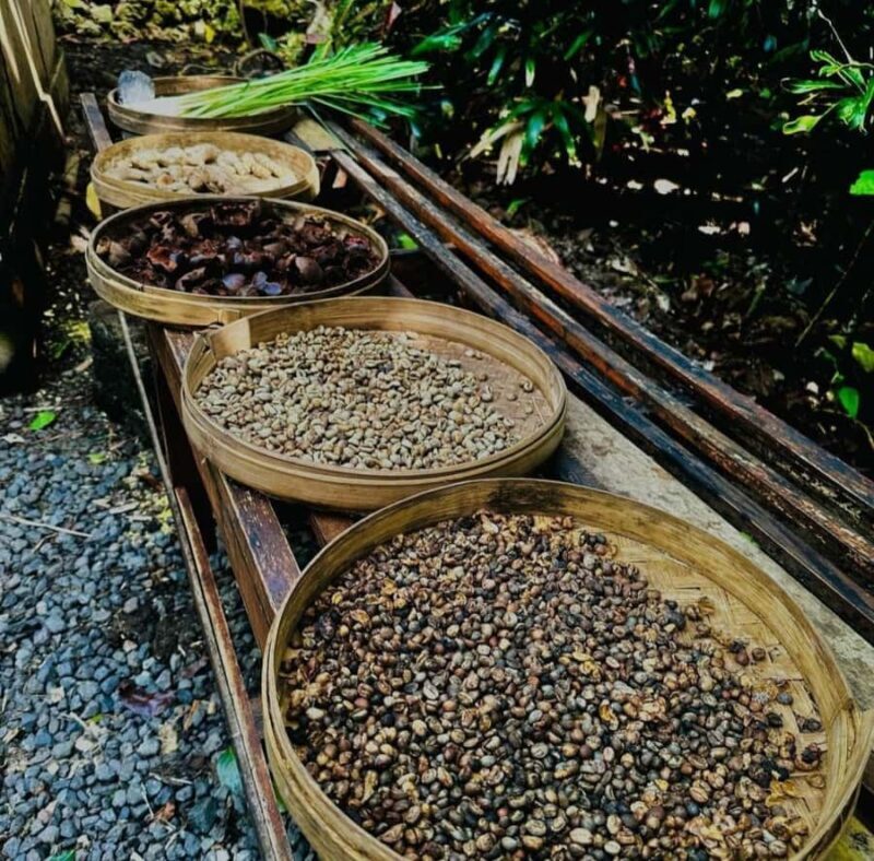 Ubud: Customised private day trip with personal driver - What to Expect from the Experience