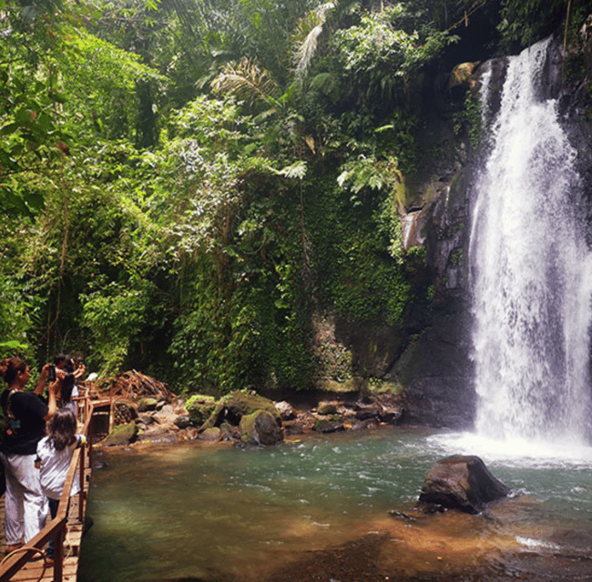 Ubud: Customised Private Full Day Tour With Personal Driver - Key Points