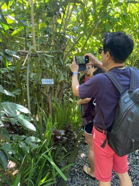 Ubud: Customised Private Full Day Tour With Personal Driver - Booking Process