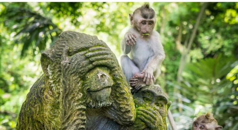 Ubud: Customised Ubud Tour with Private Driver Experience - Good To Know